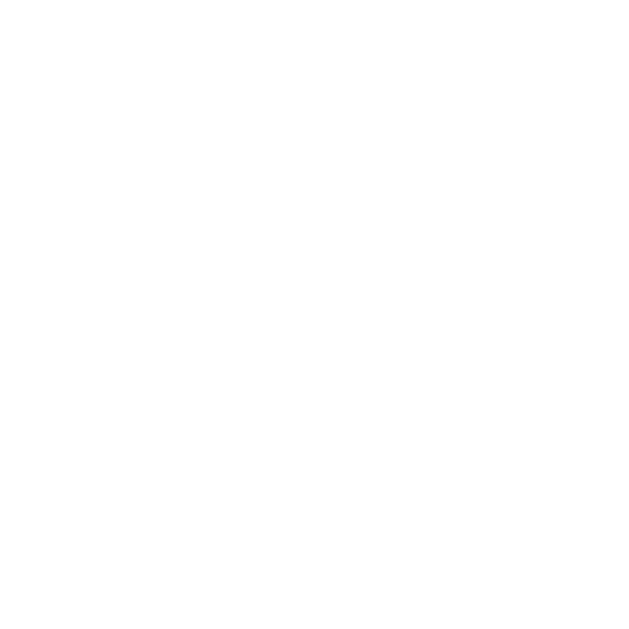 OTP Connect